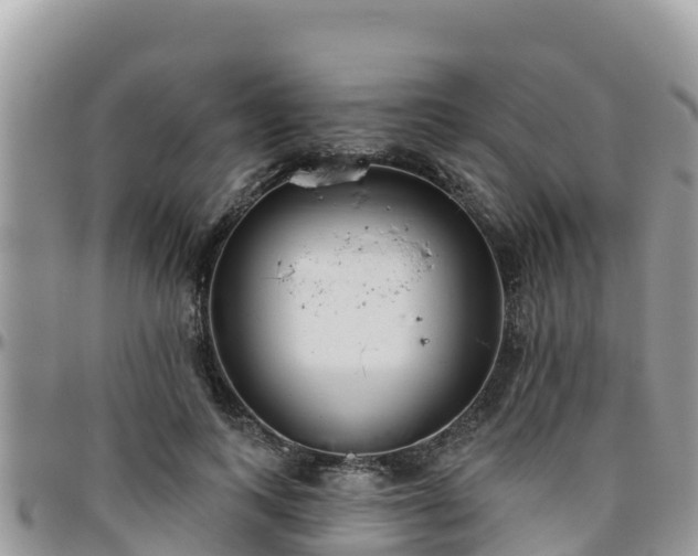 X0000095920743200801181417