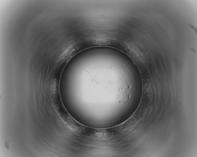 X0000095920744200801181417