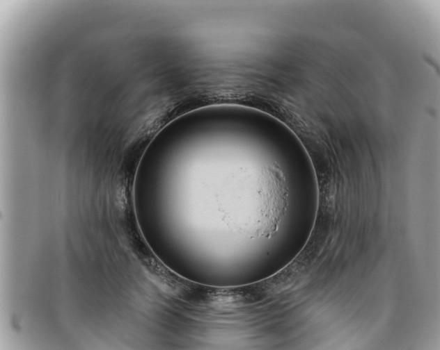 X0000095920746200801181417