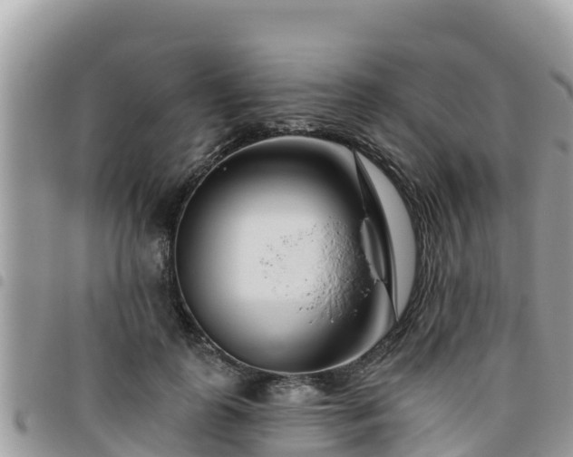 X0000095920747200801181417