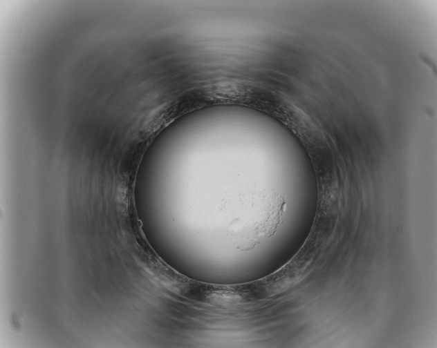 X0000095920749200801181417