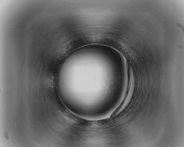 X0000095920750200801181417