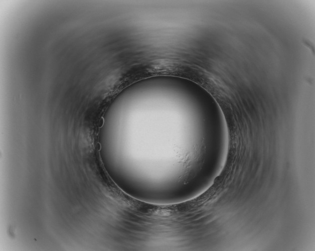 X0000095920751200801181417