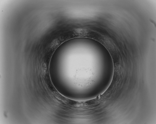 X0000095920752200801181417