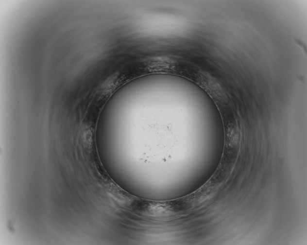 X0000095920753200801181417