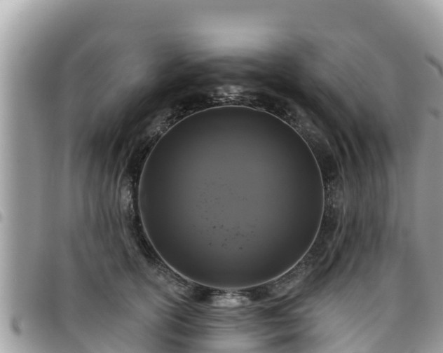 X0000095920754200801181417