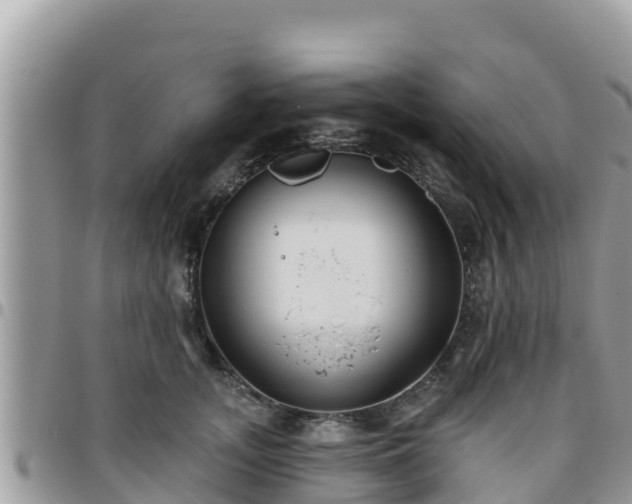 X0000095920755200801181417