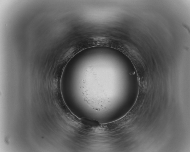 X0000095920756200801181417