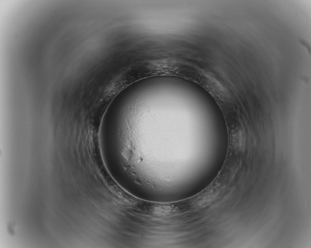 X0000095920757200801181417