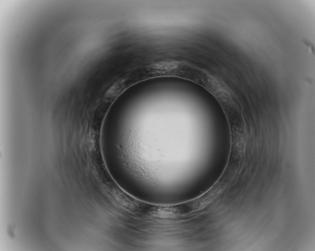 X0000095920758200801181417