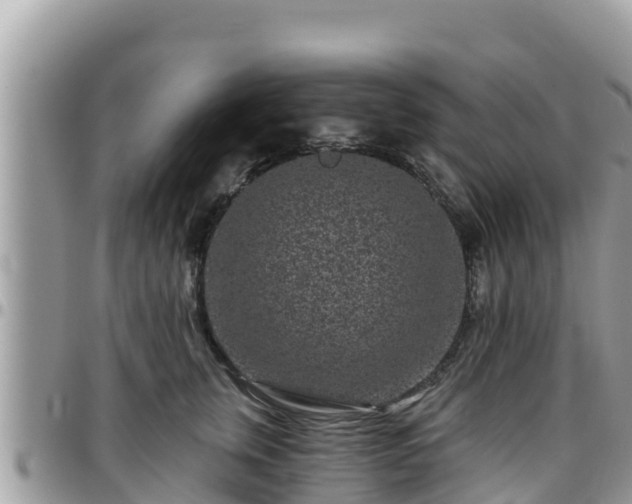 X0000095920759200801181417