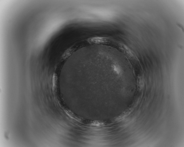 X0000095920760200801181417