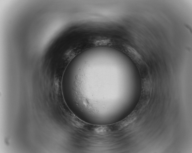 X0000095920761200801181417