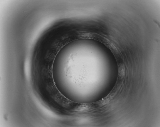 X0000095920764200801181417