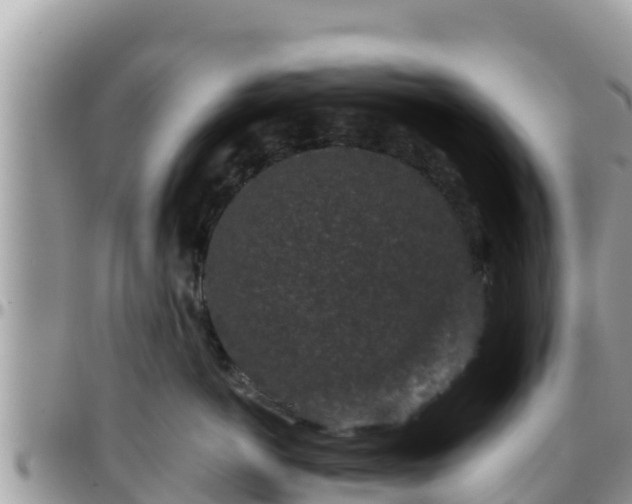 X0000095920766200801181417