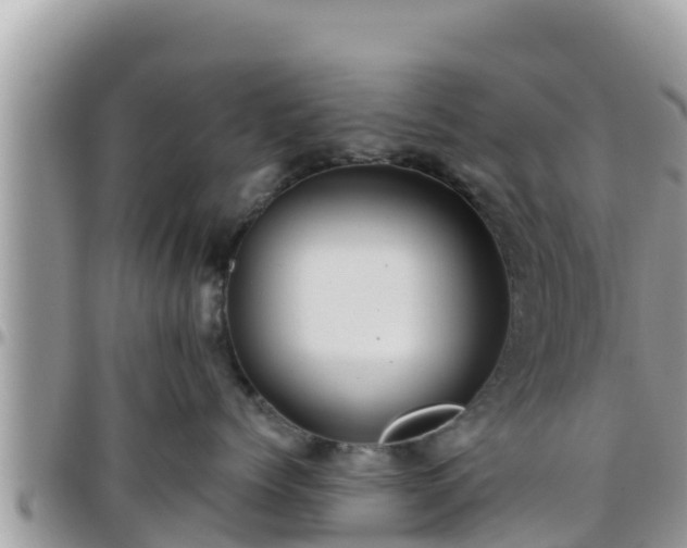 X0000095920768200801181417