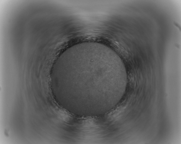 X0000095920769200801181416