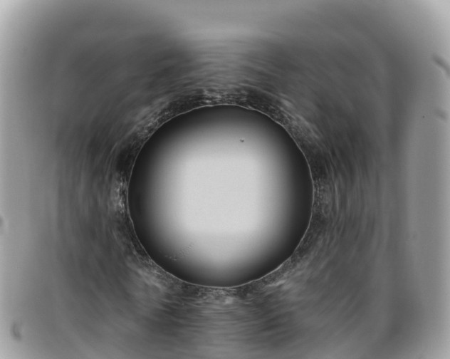 X0000095920770200801181416