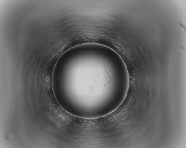 X0000095920772200801181416