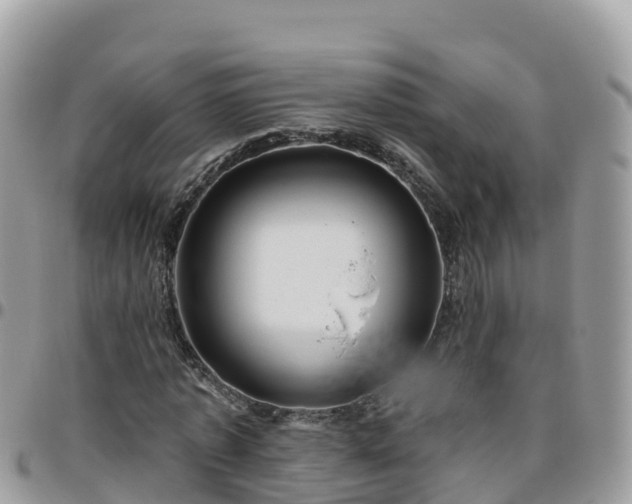 X0000095920773200801181416