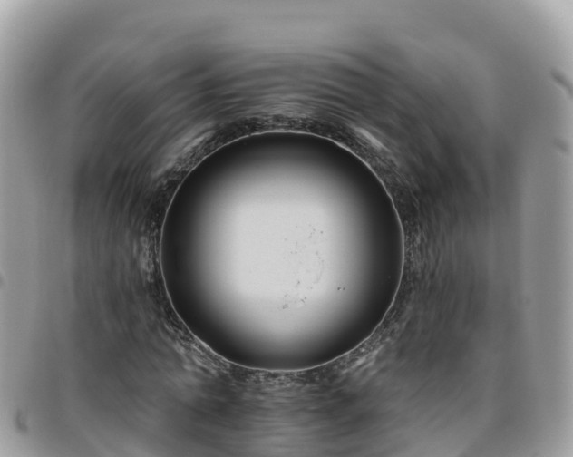 X0000095920774200801181416