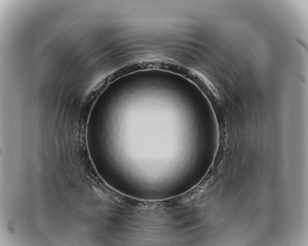 X0000095920775200801181416