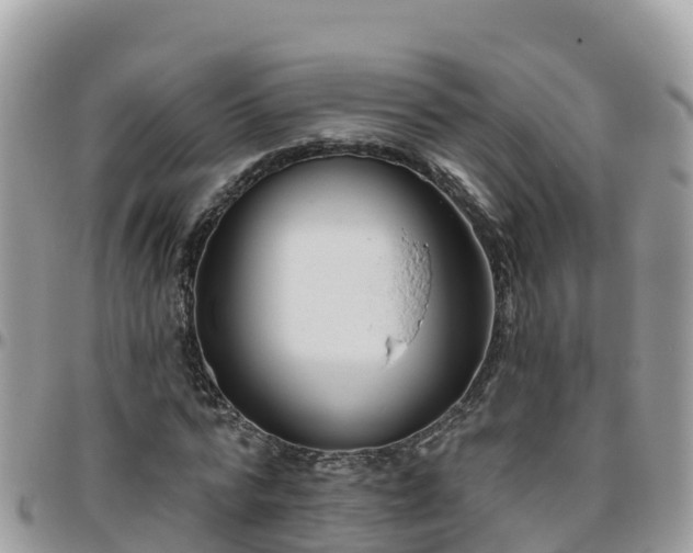 X0000095920776200801181416