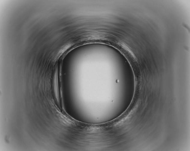 X0000095920777200801181416