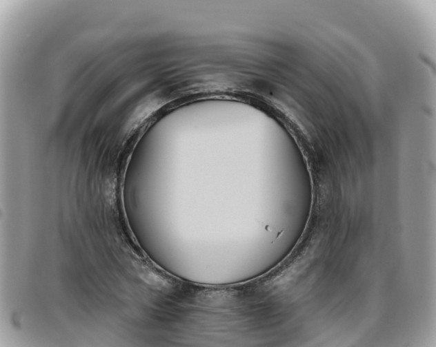 X0000095920778200801181416