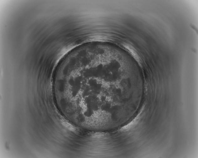 X0000095920779200801181416