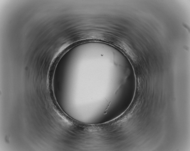 X0000095920780200801181416