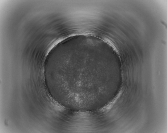 X0000095920781200801181416