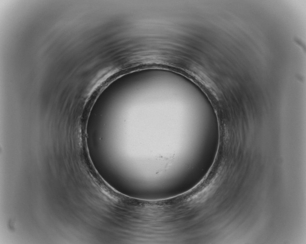 X0000095920782200801181416