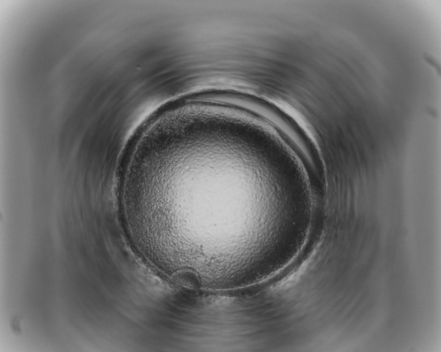 X0000095920783200801181416