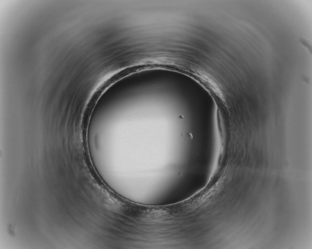 X0000095920784200801181416