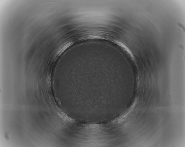 X0000095920785200801181416