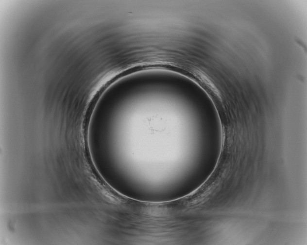 X0000095920789200801181416