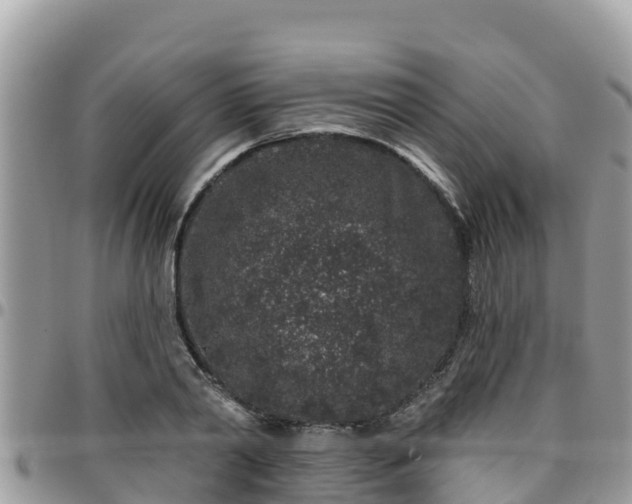 X0000095920790200801181416