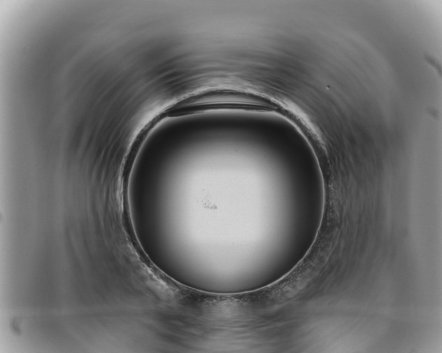 X0000095920791200801181416