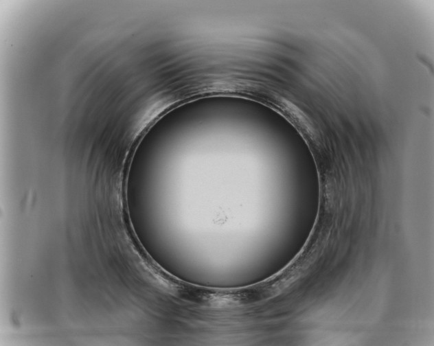 X0000095920794200801181416