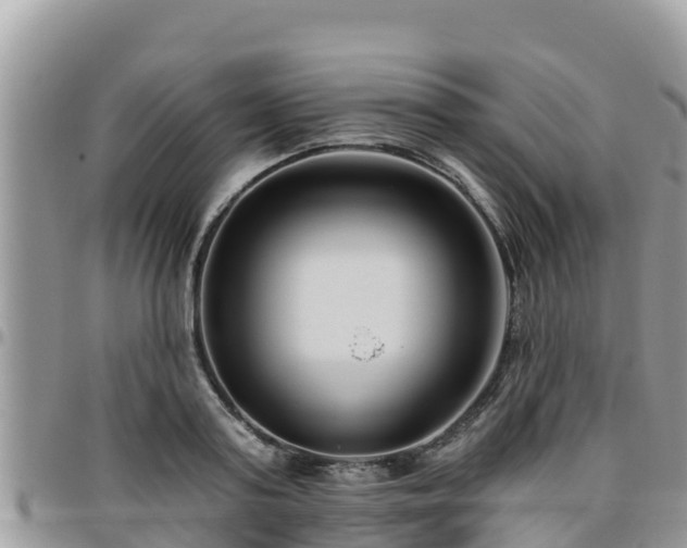 X0000095920795200801181416