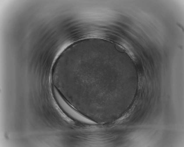 X0000095920796200801181416