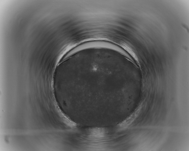 X0000095920797200801181416