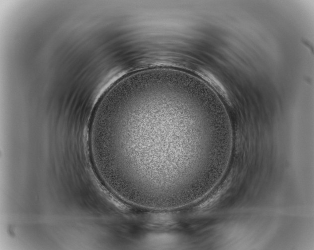 X0000095920798200801181416