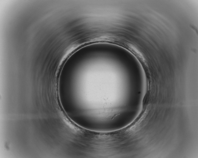 X0000095920800200801181416