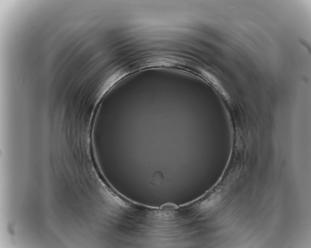 X0000095920802200801181416