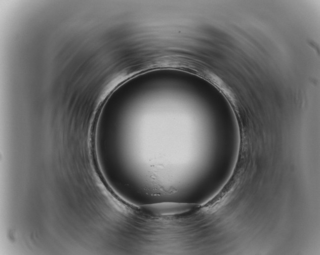 X0000095920803200801181416