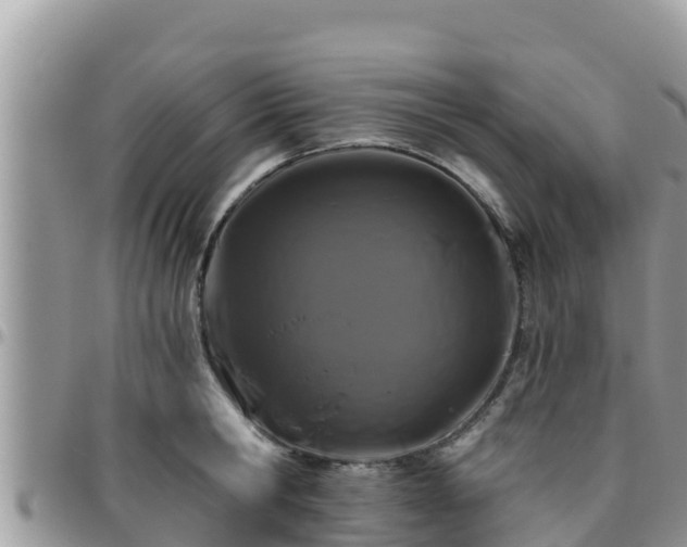 X0000095920806200801181416