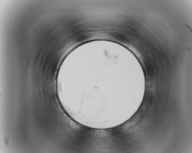 X0000095920807200801181416