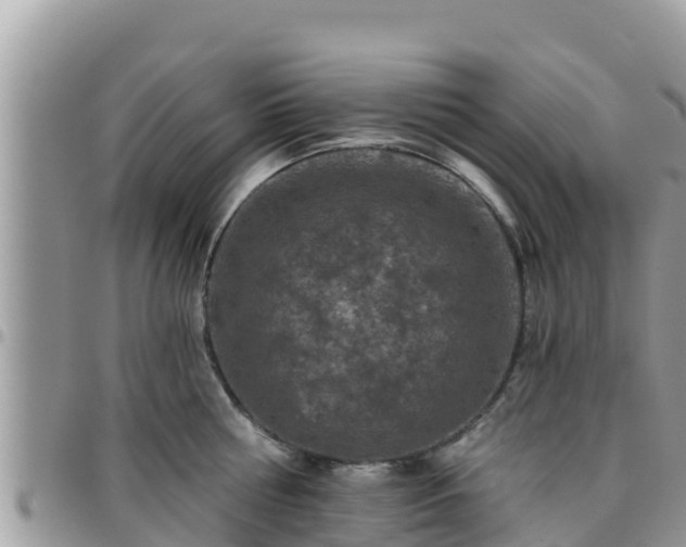 X0000095920810200801181416